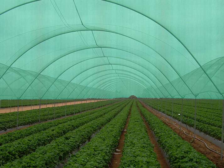 Shade Safety Nets in Chennai