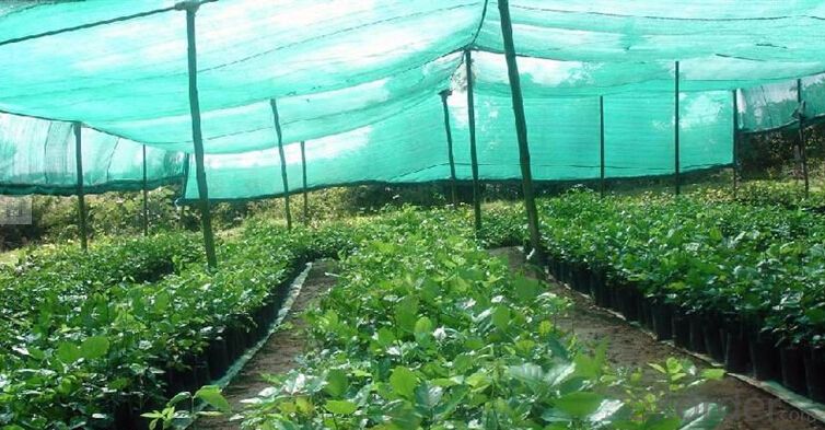 Shade Safety Nets in Chennai