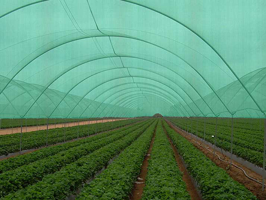 Shade Safety Nets in Chennai